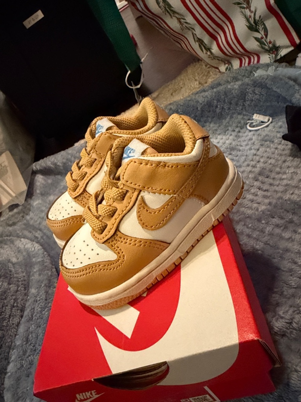 Nike Dunk Low